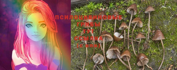 mdma Богородицк