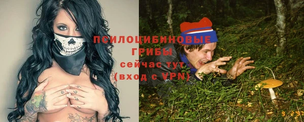 mdma Богородицк