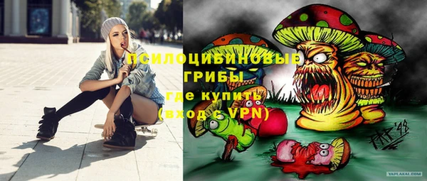mdma Богородицк