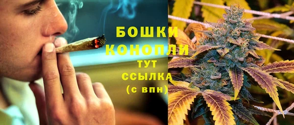 прущий лед Богородск