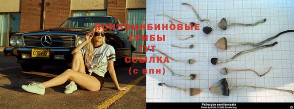 прущий лед Богородск