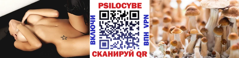закладка  shop телеграм  Псилоцибиновые грибы Cubensis  Дно 