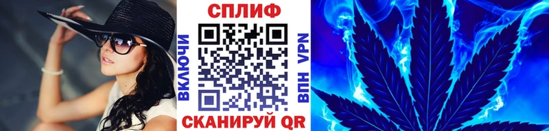 купить   Дно  Бошки Шишки OG Kush 